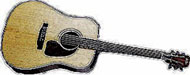 gtr164.jpg
